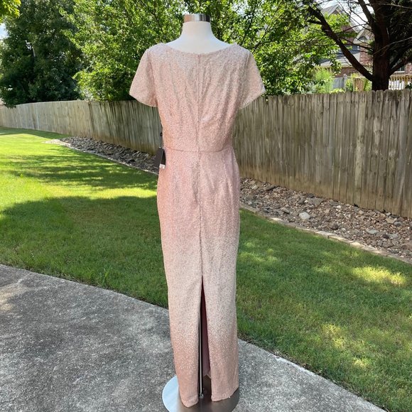 Adrianna Papell Ombre Sequin Column Gown Blush Ombre Short Sleeve V-Neck Size 10 - Picture 9 of 16